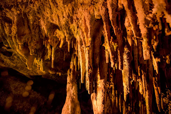 九州最大の鍾乳洞 球泉洞